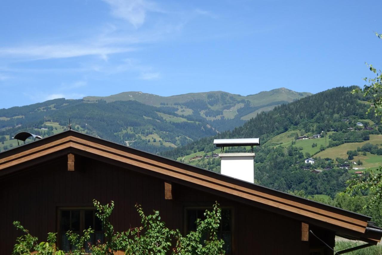 Ferienwohnung Appartement Am Schilf Xl Zell am See Esterno foto